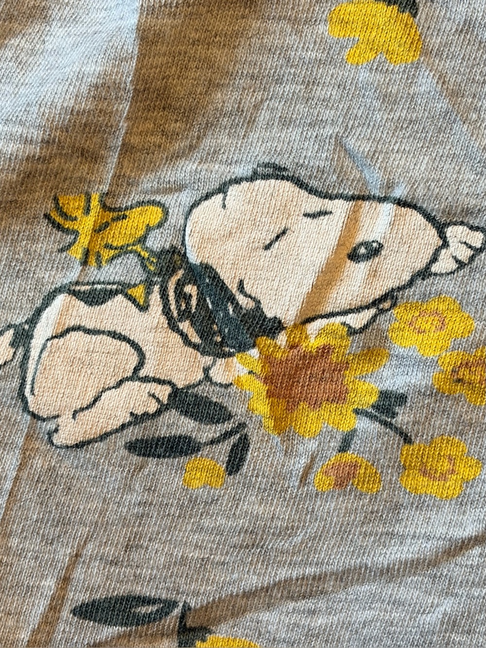 Snoopy Ruffle Lounge Shorts - Picture 4 of 10